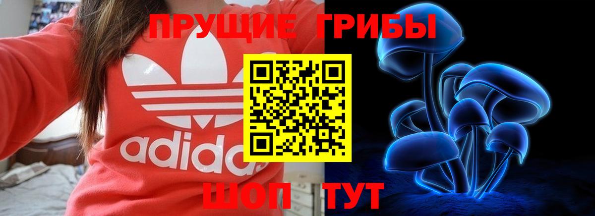 Галлюциногенные грибы мухоморы Кинешма